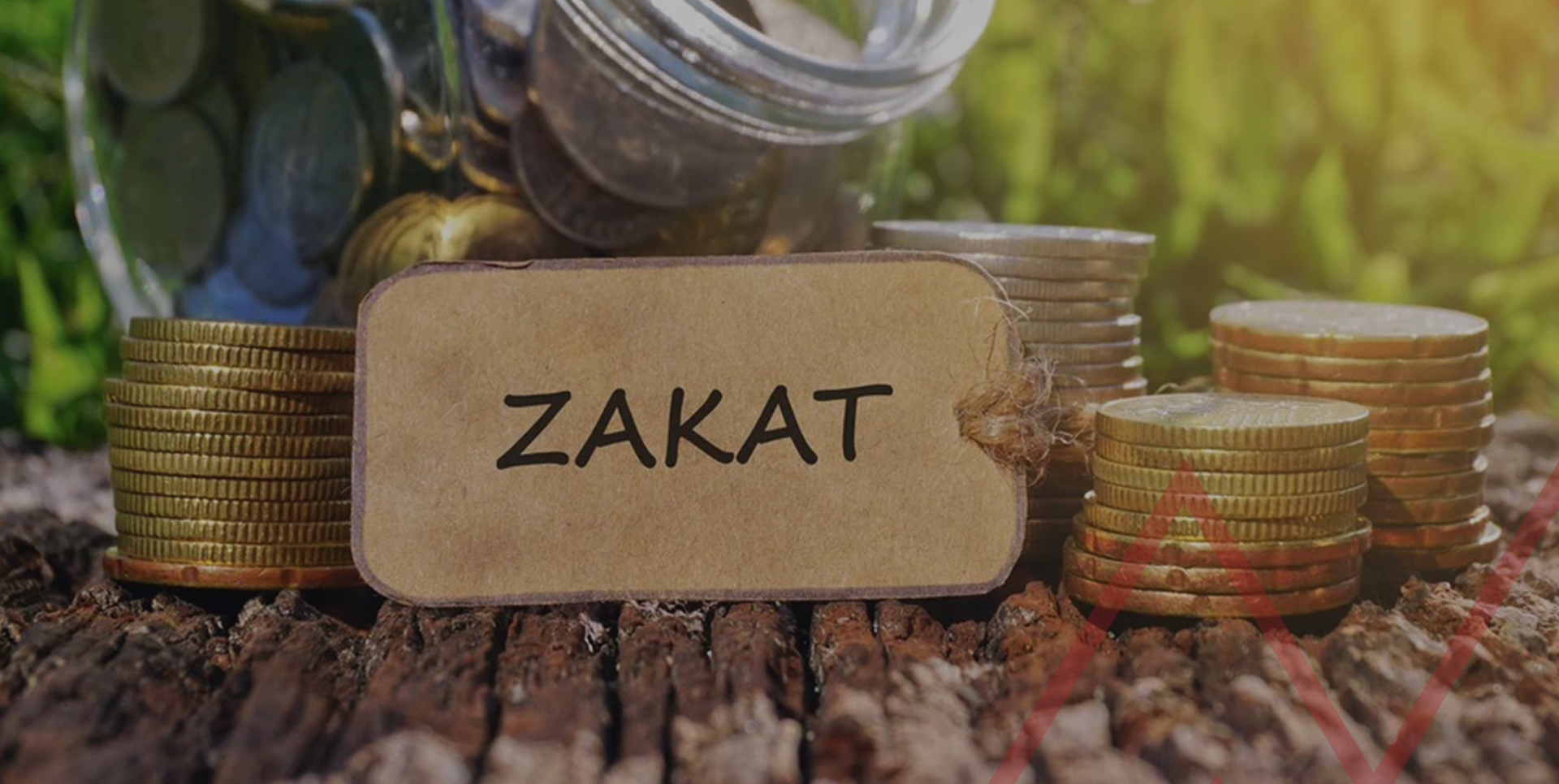 Pakistan Sets New Zakat Nisab Ahead of Ramadan